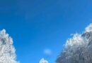 Karla kaplanan ağaçlar ve mavi gökyüzü ile…