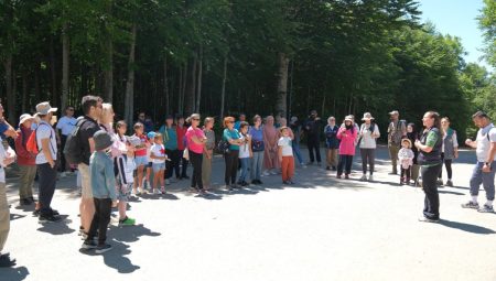 Kuzuyayla’da biyoçeşitlilik haritası çıkarıldı – Kocaeli Büyükşehir Belediyesi
