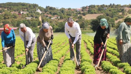 Büyükşehir destekliyor, üretim artıyor – Kocaeli Büyükşehir Belediyesi