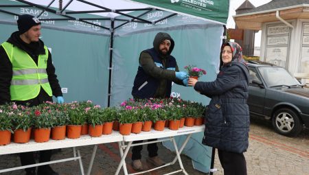 Büyükşehir, kabirler için on binlerce çiçek dağıttı