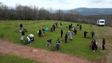 Fidanlar engelsiz hayat için dikildi