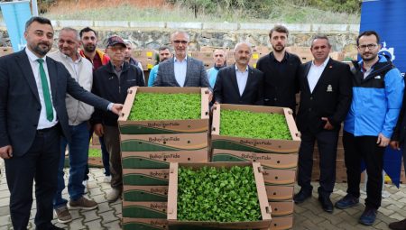 Kocaeli’de çiftçilere sebze fidesi desteği