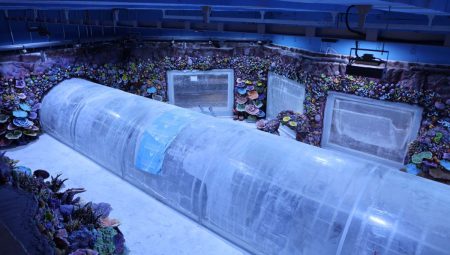 30 farklı akvaryum eşsiz bir gezi yaşatacak