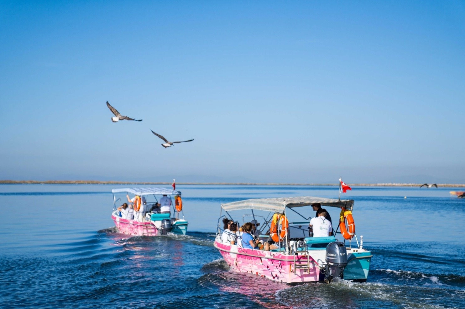 İzmir Gediz Deltası’nda Bayram Tatiline Özel Flamingo Yolu Turları