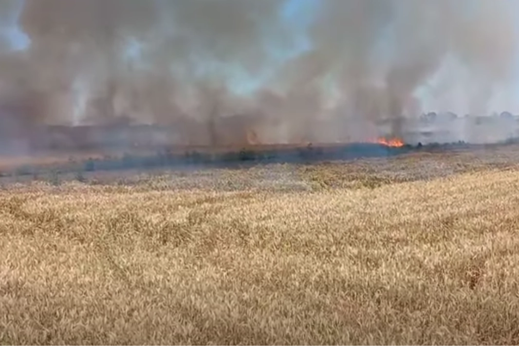 Edirne’de Hasat Öncesi Tarla Yangını: 6 Dönüm Buğday Kül Oldu