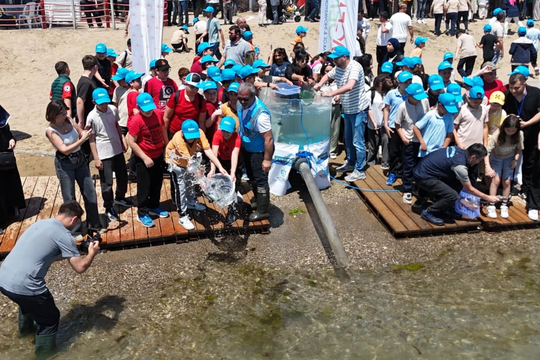 İzmit Körfezi’nde Biyoçeşitlilik İçin 6 Bin Balık ve 100 Resif Denize İndirildi
